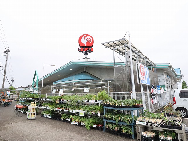 ホームセンター　コメリ（ホームセンター）まで766m