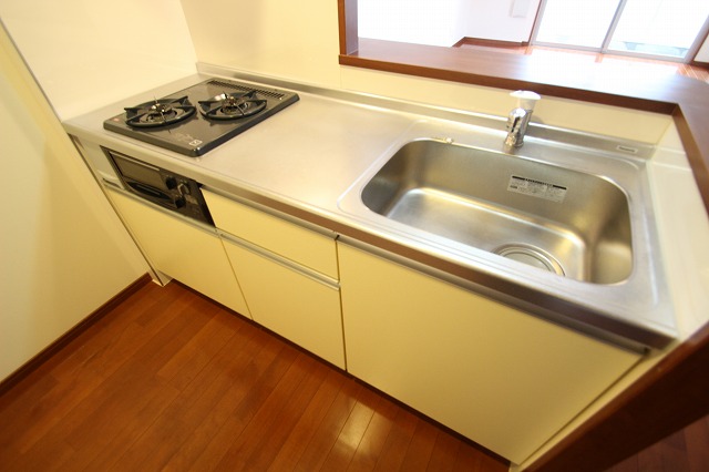 キッチン　同物件別号室のものです。