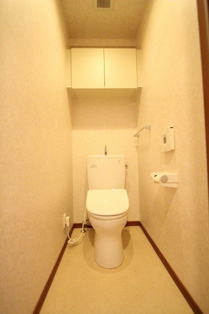 トイレ　同物件別号室のものです。