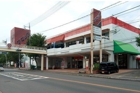 スーパー　ザ・ビッグ（スーパー）まで1200m