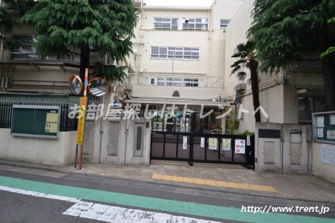 小学校　渋谷区立 代々木小学校（小学校）まで570m