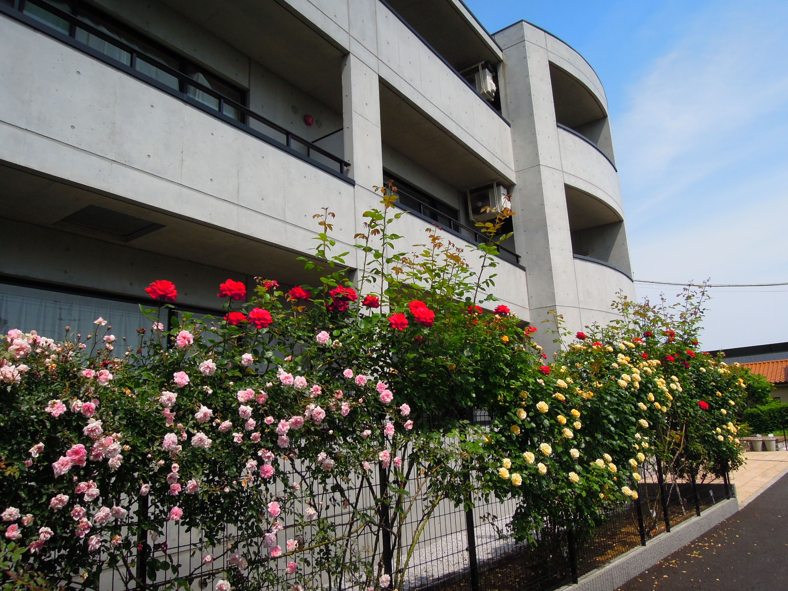 建物外観　薔薇の季節が楽しみです