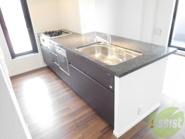 キッチン　キッチン食ッキ乾燥機もついており勝手口もあります