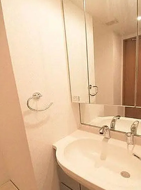 洗面設備　別部屋の写真を使用しております。
