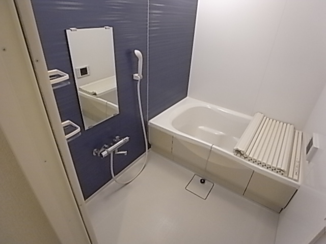 バス・シャワールーム　※１階の２ＬＤＫの写真です