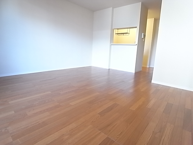 居室・リビング　※１階の２ＬＤＫの写真です