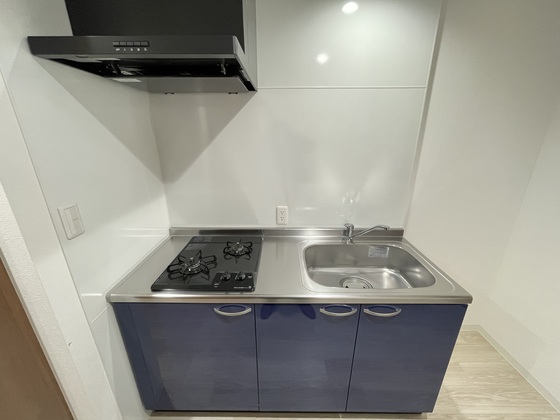 キッチン　※別部屋の写真です