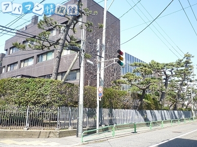 病院　日本歯科大学新潟病院（病院）まで1000m