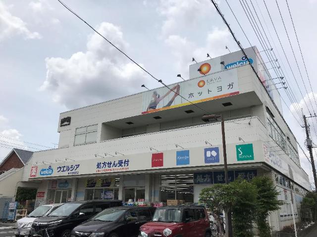 その他　ウエルシア東大和向原店まで811ｍ