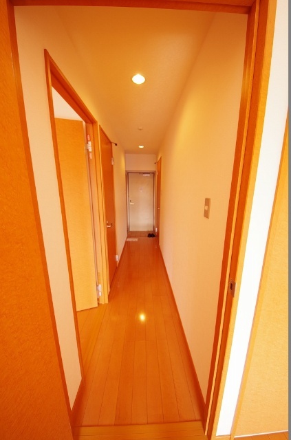 玄関　玄関（類似室内）