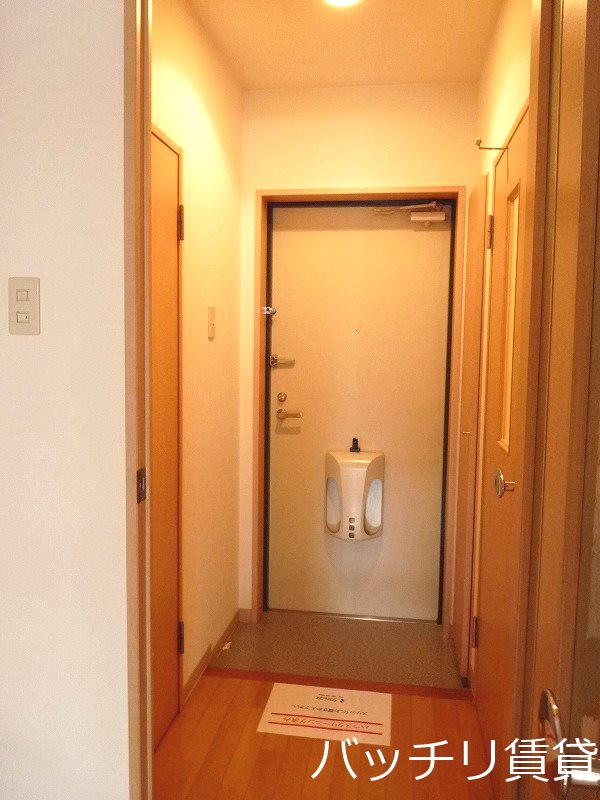 玄関　＊画像は別部屋の為イメージ、現状を優先致します