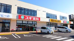 ドラックストア　スギ薬局蘇我鵜の森店（ドラッグストア）まで876m