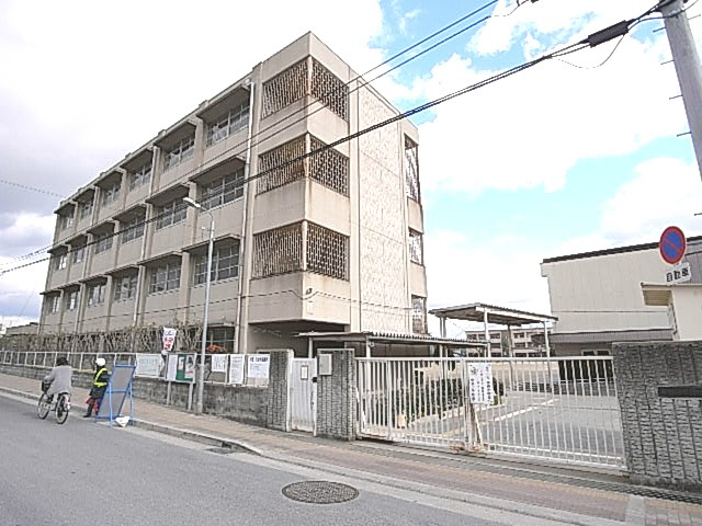 小学校　中央小学校（小学校）まで589m