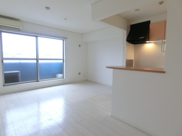 居室・リビング　広々１３帖！