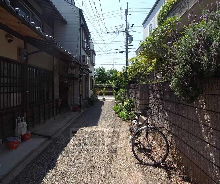 その他　目の前の道路です。