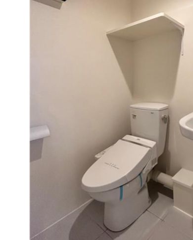 トイレ　トイレも気になるポイント