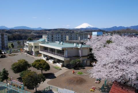 小学校　秦野市立広畑小学校（小学校）まで345m
