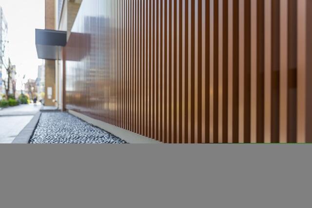 その他　2021年3月撮影