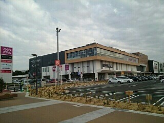 ショッピングセンター　イオンタウンふじみ野（ショッピングセンター）まで800m