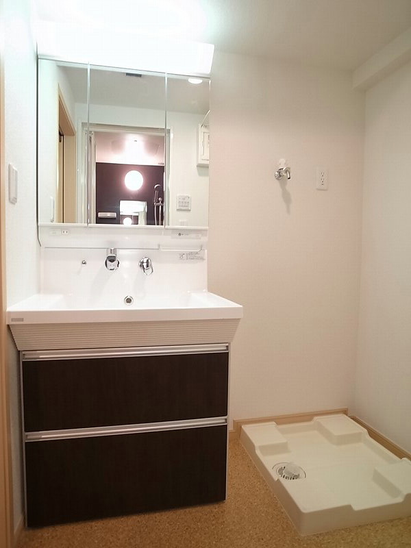 洗面設備　シャワー付き洗面台です。