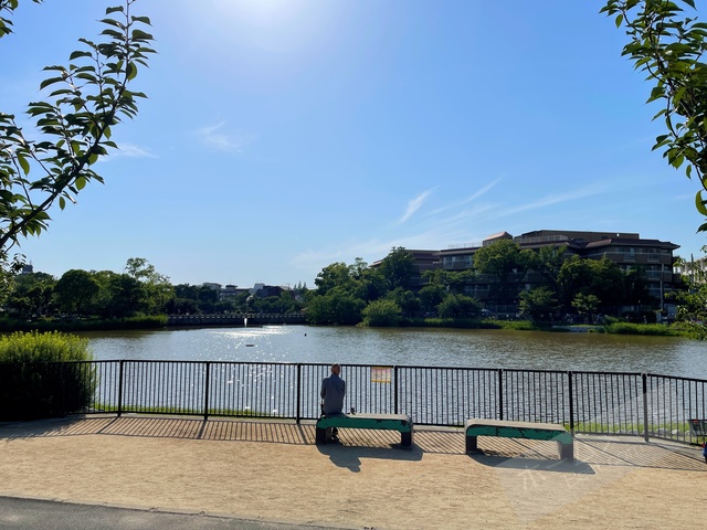 公園　万代池公園（公園）まで776m