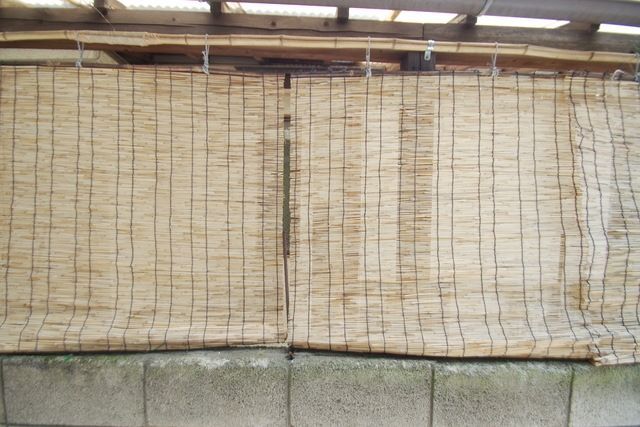 眺望　★お部屋探しはタウンハウジングまで★