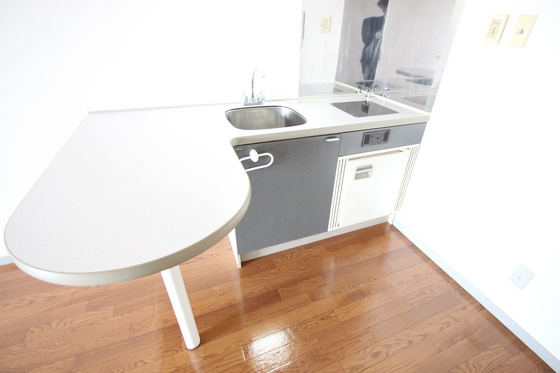 キッチン　※別部屋の写真です