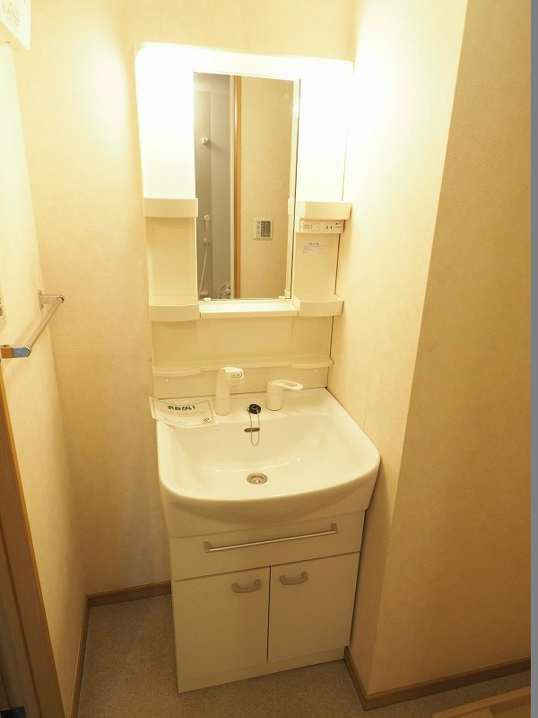 洗面設備　※別号室の写真です。社会人様には必須のシャンプードレッサーで