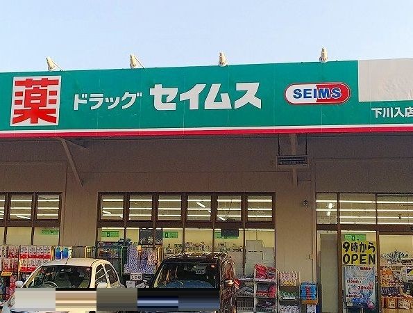 ドラックストア　ドラッグセイムス下川入（ドラッグストア）まで550m