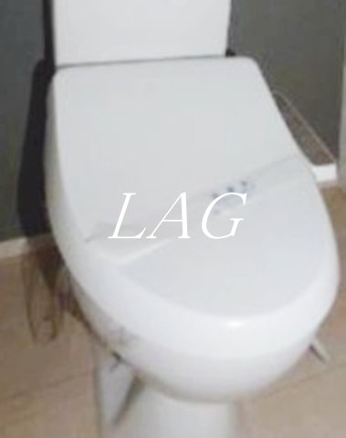 トイレ　トイレです。