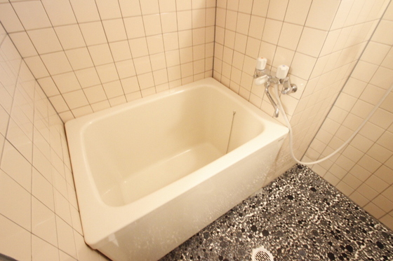 バス・シャワールーム　※別部屋の写真です