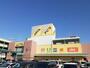 ショッピングセンター　アピタ　江南西店（ショッピングセンター）まで500m