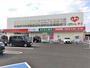 ドラックストア　くすりのレデイ土居田店（ドラッグストア）まで518m