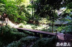 公園　成城三丁目緑地（公園）まで755m