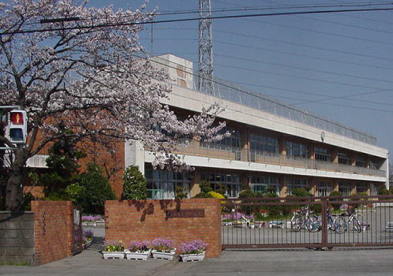 小学校　市立里小学校（小学校）まで484m