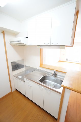 キッチン　※同物件・反転タイプの写真です。