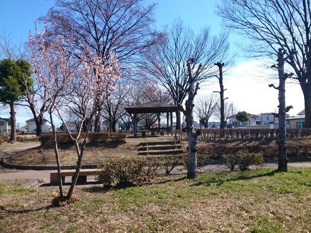 公園　福島公園（公園）まで700m