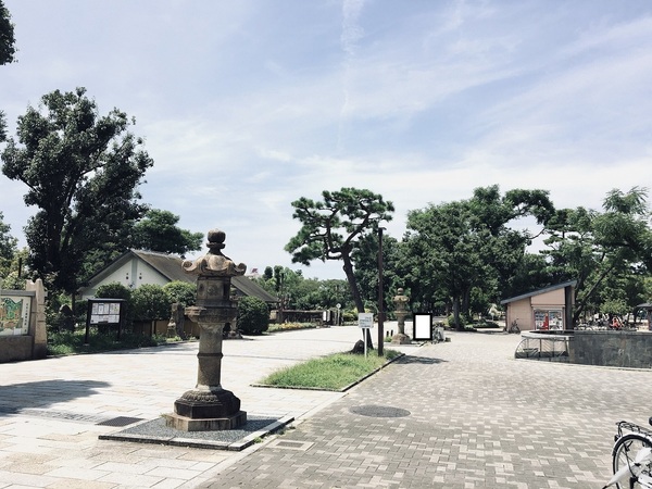 公園　住吉公園（公園）まで1000m