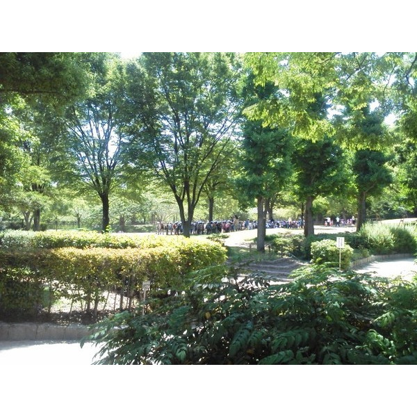 公園　上坂部西公園（公園）まで986m