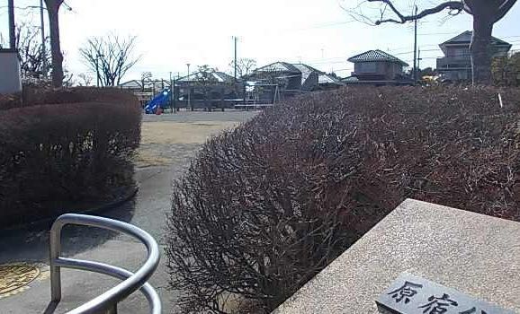 その他　原宿公園（その他）まで147m