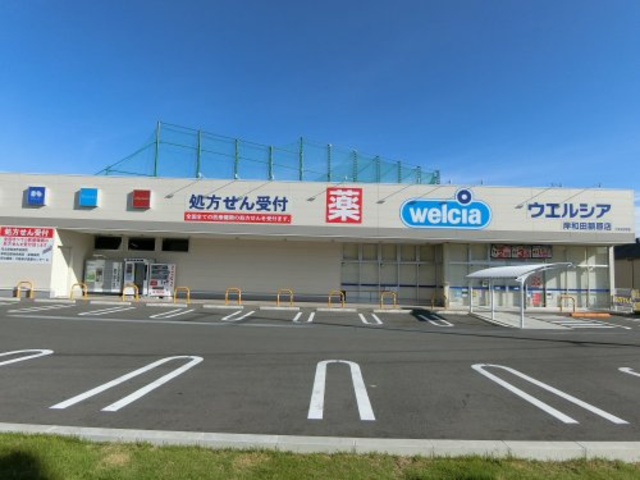 ドラックストア　ウエルシア岸和田額原店（ドラッグストア）まで1369m