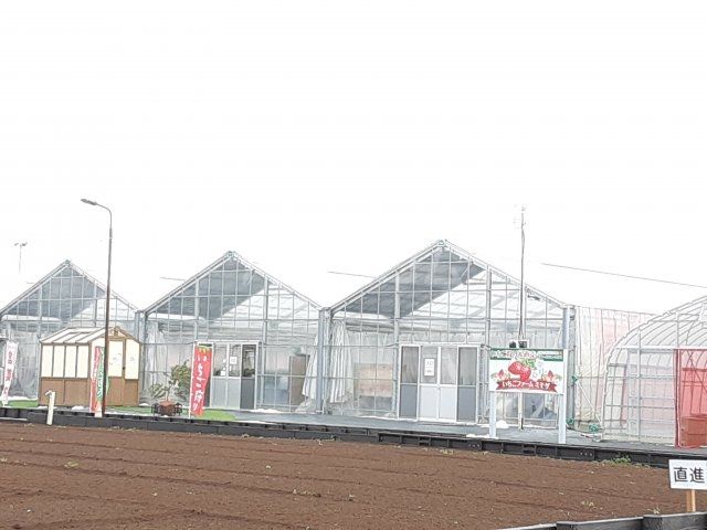飲食店　いちごファームミモザ（飲食店）まで1441m