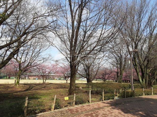 公園　大泉中央公園（公園）まで1784m