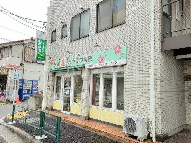 病院　桜樹動物病院（病院）まで1319m