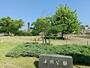 公園　湊川公園（公園）まで706m