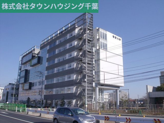 その他　敬愛大学（その他）まで350m
