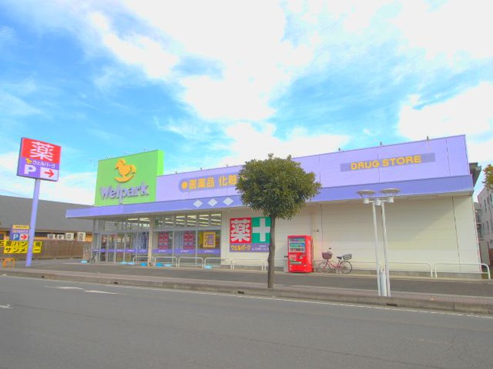 ドラックストア　ウェルパークふじみ野店（ドラッグストア）まで300m
