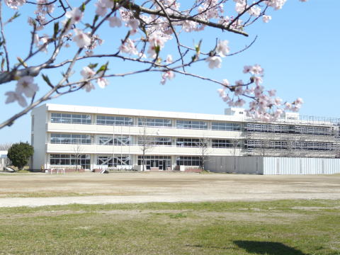 中学校　木更津市立畑沢中学校（中学校）まで592m