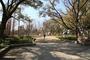 公園　靱公園（公園）まで983m