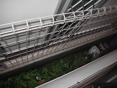 その他　別部屋参考写真